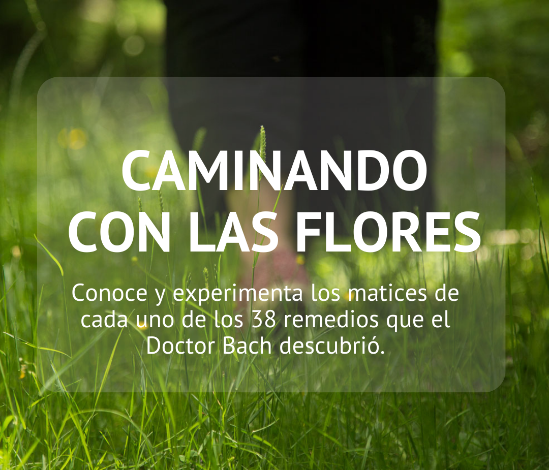 Caminando con las flores de Bach
