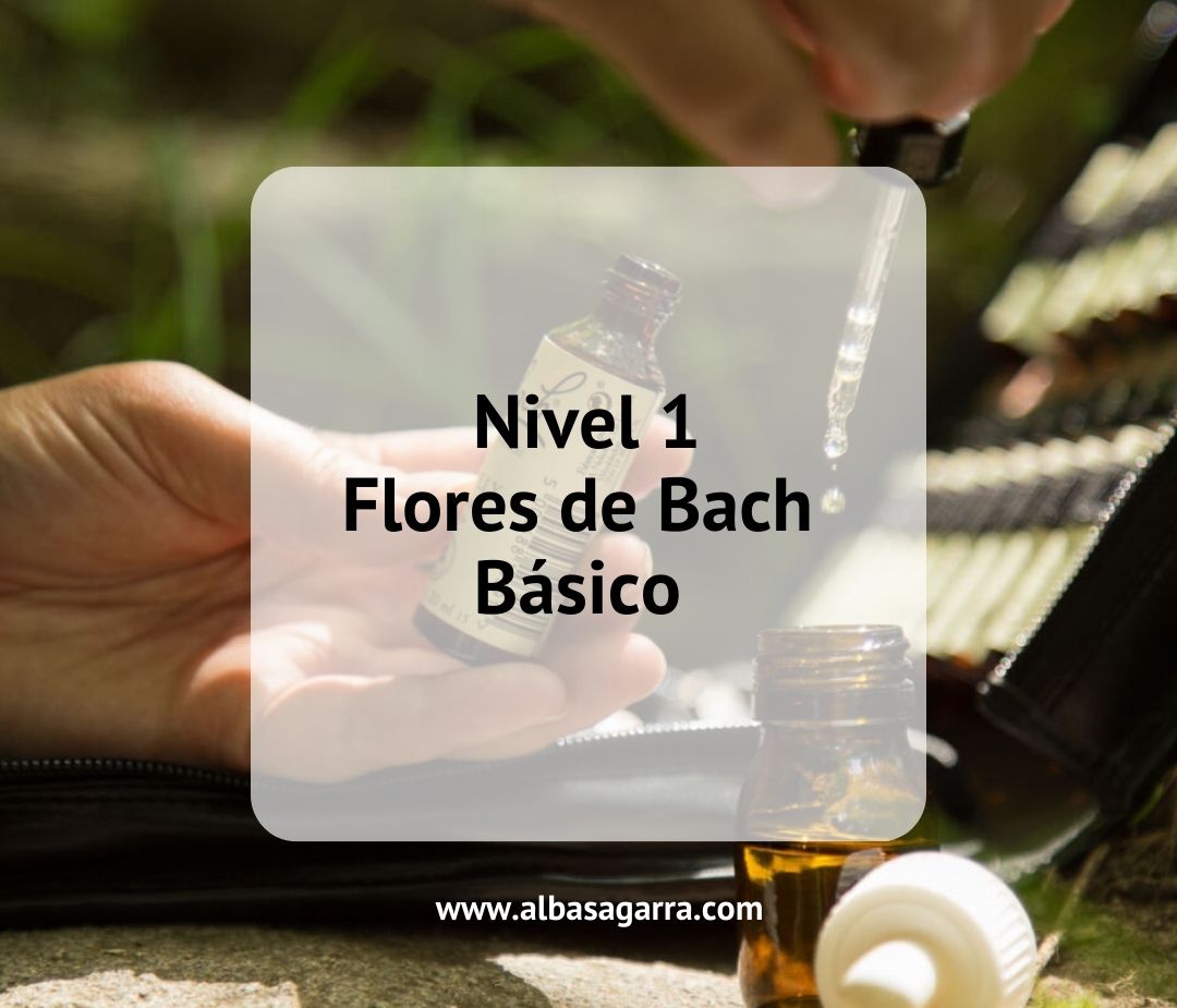 curso flores de Bach oficial acreditación internacional Centro Bach Inglaterra nivel 1 presencial Barcelona, Catalunya, España