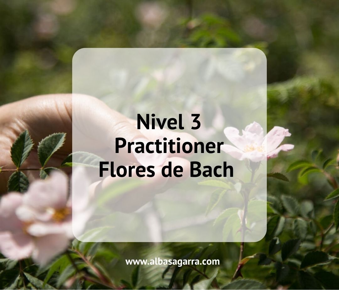 curso flores de Bach oficial acreditación internacional Centro Bach Inglaterra nivel 3 presencial