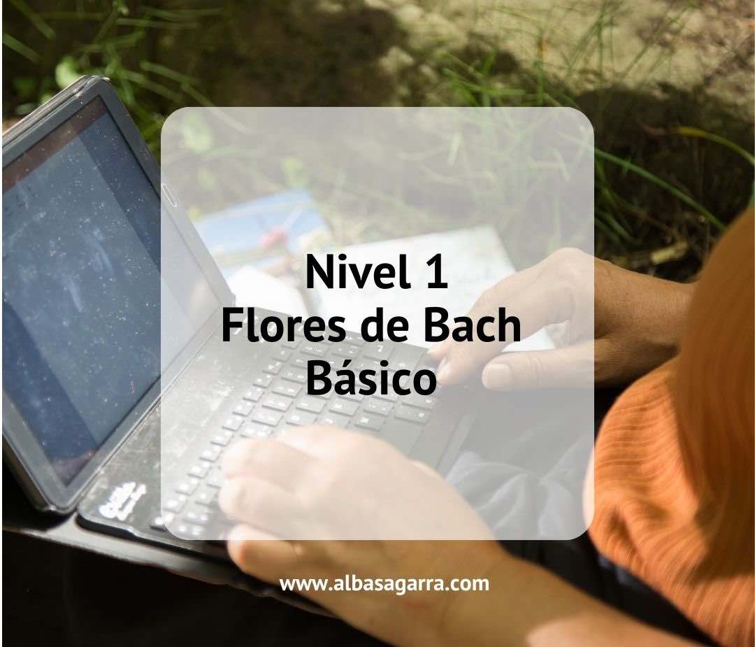curso flores de Bach oficial acreditación internacional Centro Bach Inglaterra nivel 1 online