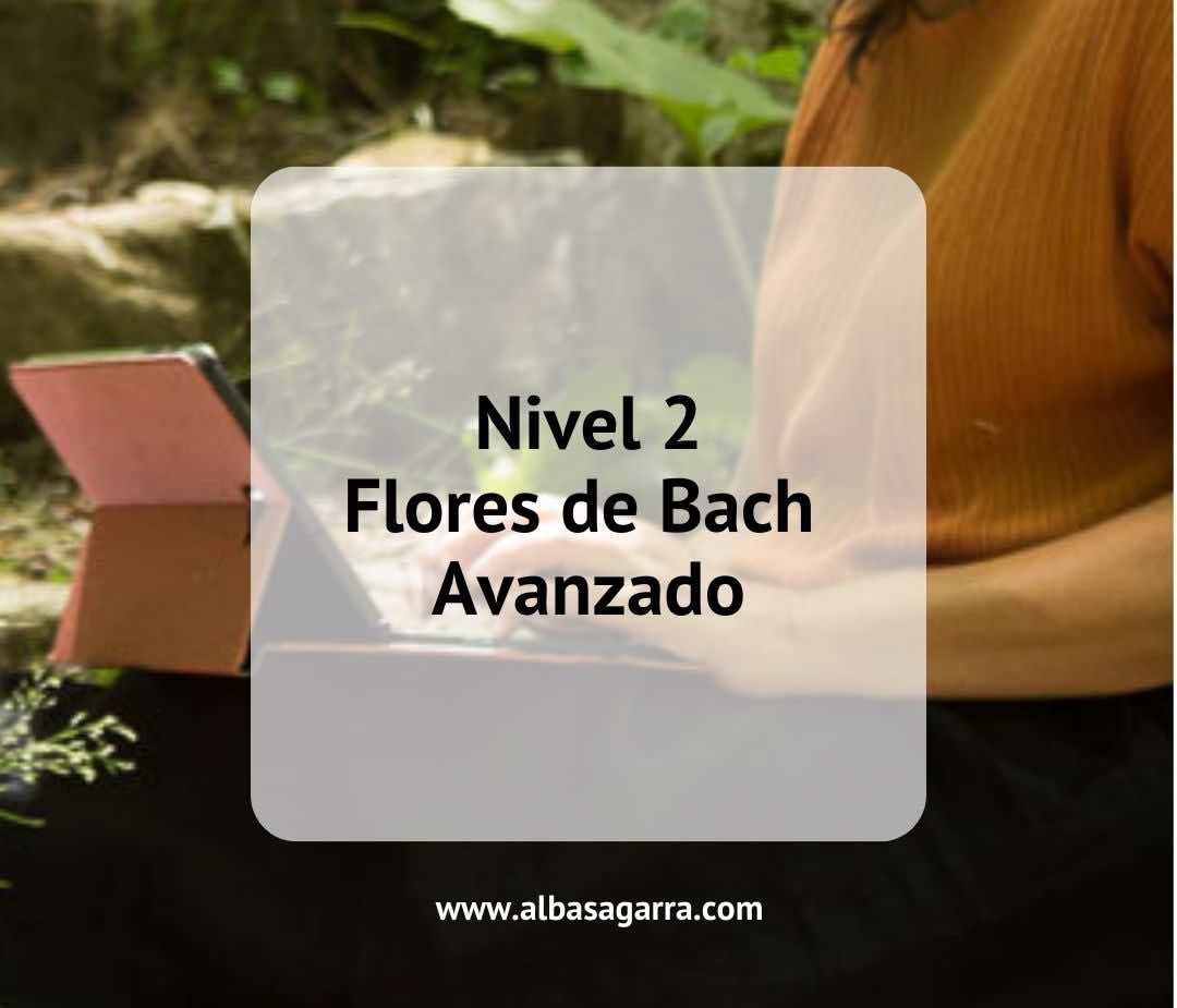 curso flores de Bach oficial acreditación internacional Centro Bach Inglaterra nivel 2 online-pad