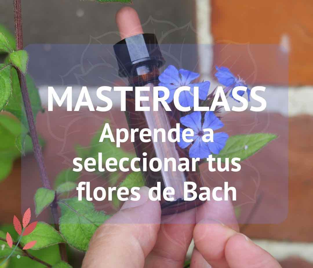 masterclass flores de bach conoce las flores del Dr.Bach y el rescue remedy, remedio rescate