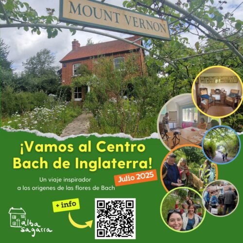 viaje al centro bach y gales julio 2025 curso ho'oponopono y flores d ebach, espagiria y flores de bach
