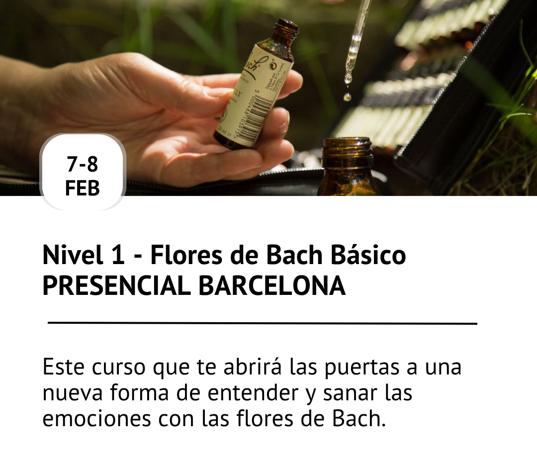 Formación oficial flores de Bach acreditada por Centro Bach de Inglaterra, curso flores de Bach Barcelona
