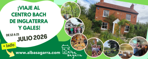 viaje a centro bach de inglaterra y gales 2026