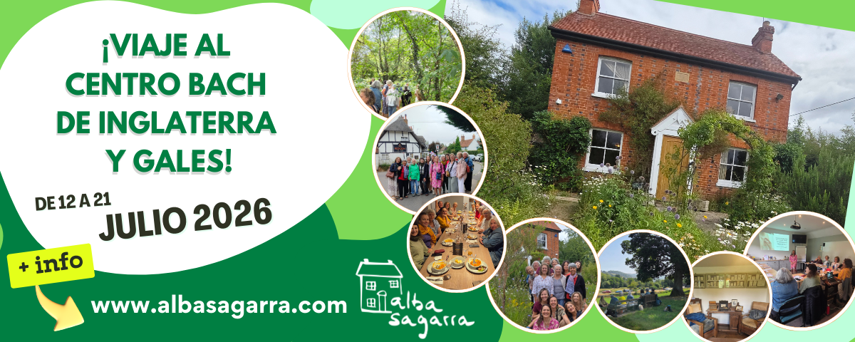 viaje a centro bach de inglaterra y gales 2026