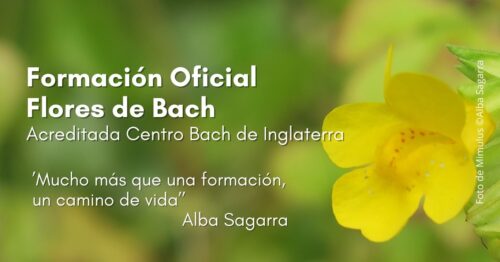 curso flores de bach oficial centro bach inglaterra españa barcelona catalunya