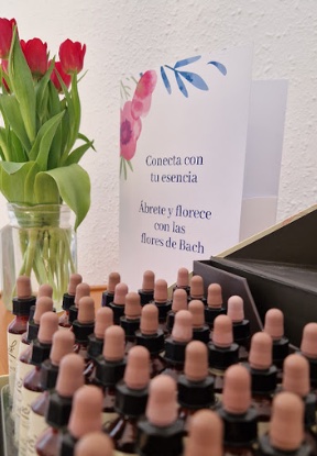 formación oficial flores de Bach con Alba Sagarra acreditada centro bach de inglaterra, bach centre