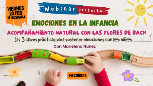 webinar emociones infancia claves prácticas con marielena nuñez flores de bach