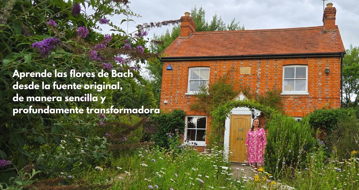 flores de bach españa directo del centro bach de inglaterra formación y cursos ofical con alba sagarra
