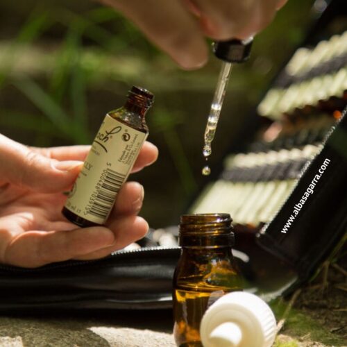 flores de Bach para principiantes Rescue Remedy flores de Bach