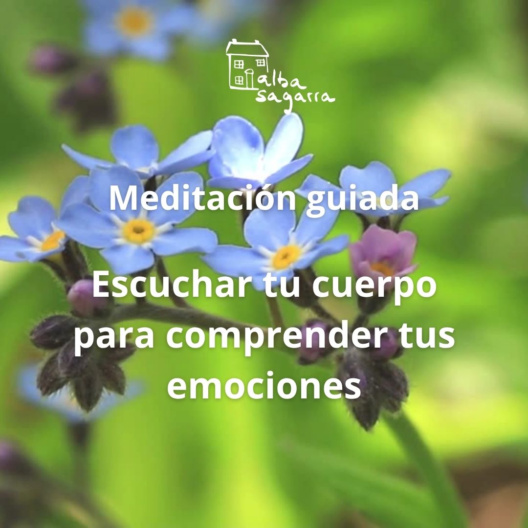 meditacion guiada para escuchar tu cuerpo e identificar tus emociones para acompañarlas con las flores de bach