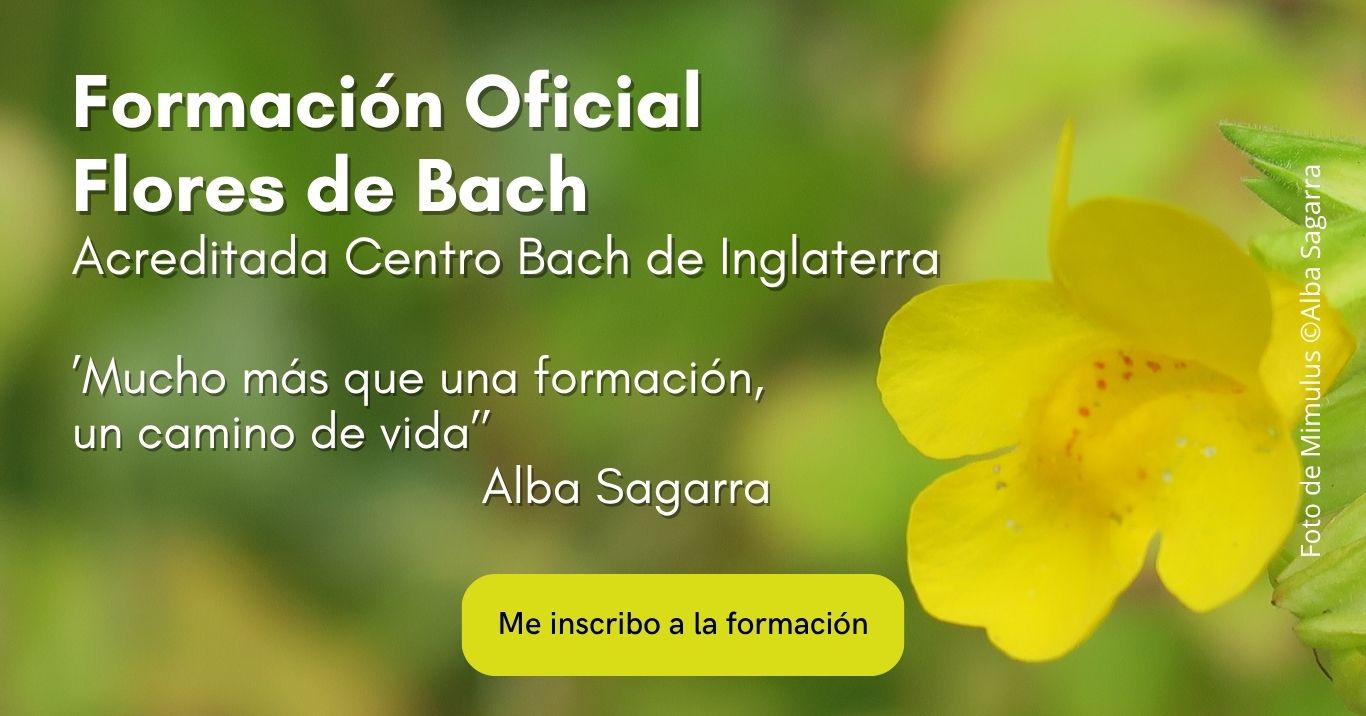 Formación oficial flores de Bach acreditada por Centro Bach de Inglaterra, curso flores de Bach Barcelona